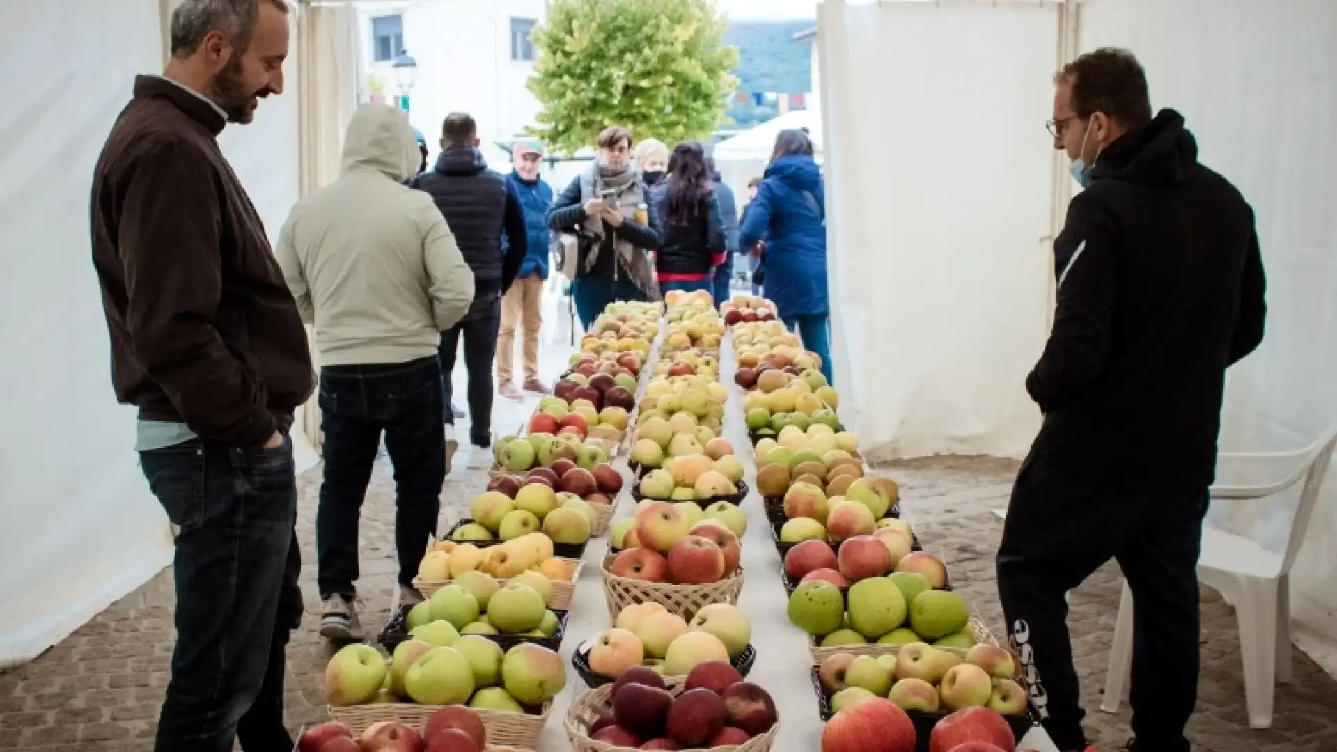 Castel Del Giudice: quinta festa della mela, l’edizione 2022 esperenziale.